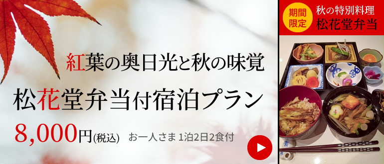 gt̉ƏH̖o ԓٓthv 8,000~(ō) l 122Ht Ԍ H̓ʗ ԓٓ